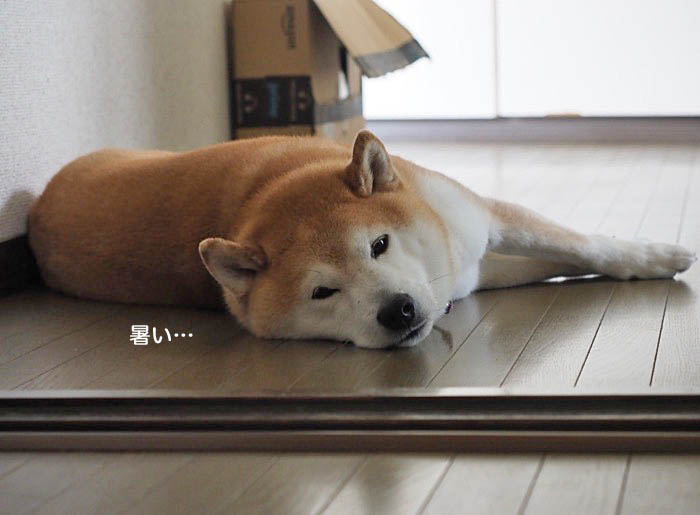 6日ブログ２