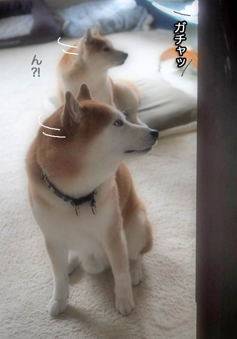 3日ブログ４