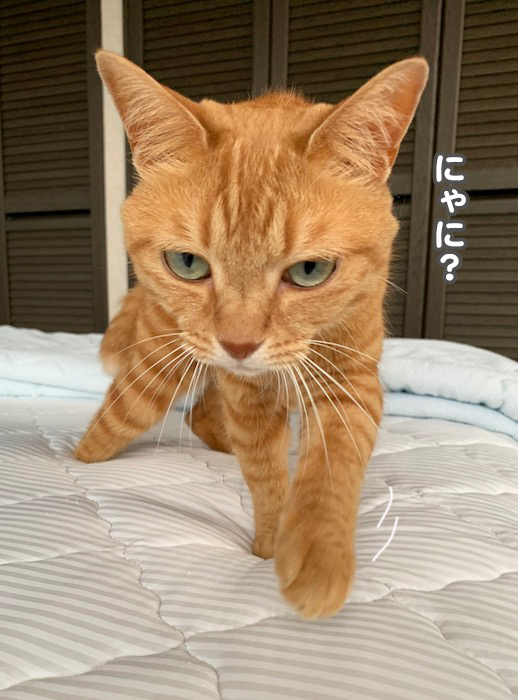 27日夕ブログ８