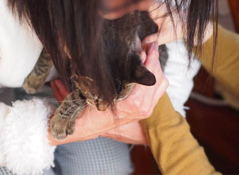 19日ブログ5.jpg