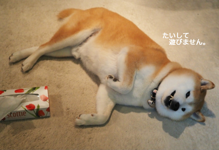 2日夜ブログ６