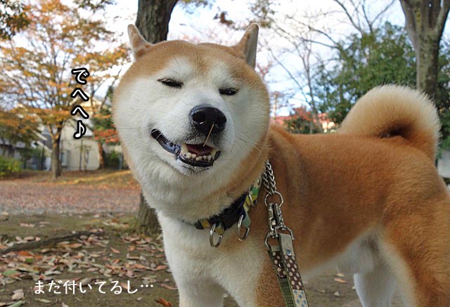 23日ブログ7