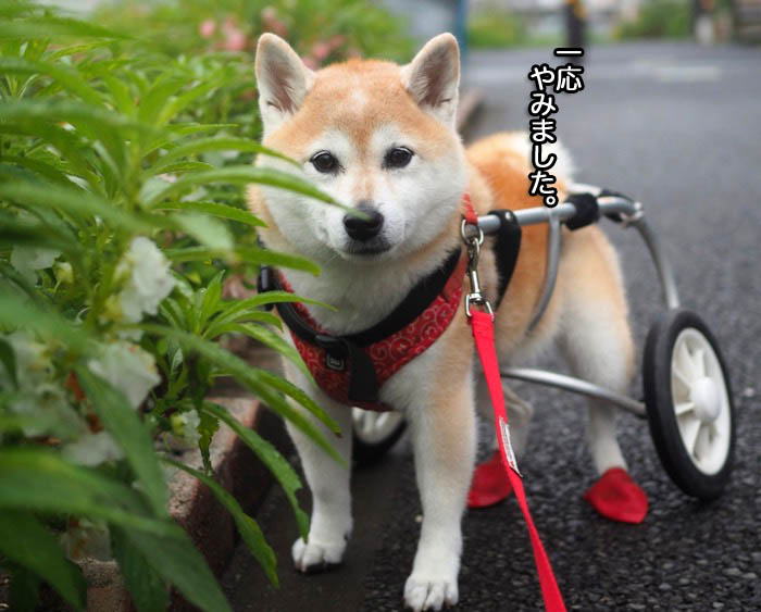 5日ブログ２