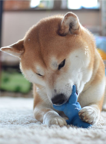 23日ブログ5.jpg