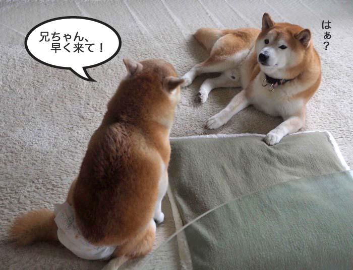 16日夕ブログ２