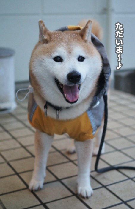 5日夕ブログ７