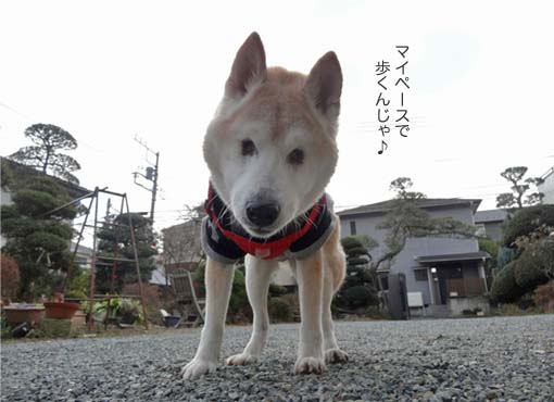 12日ブログ6.jpg