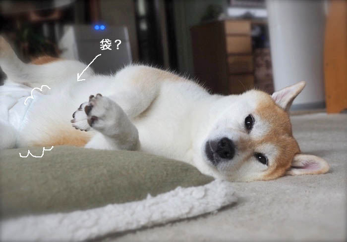 9日夜ブログ３