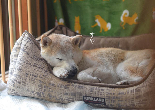 26日先ブログ3
