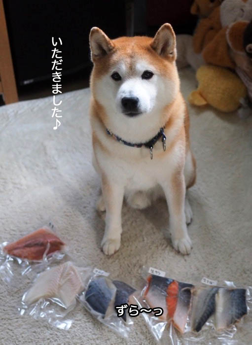 29日夜ブログ２
