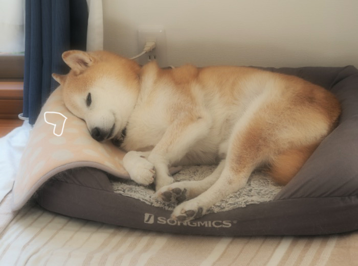 21日夕ブログ１２