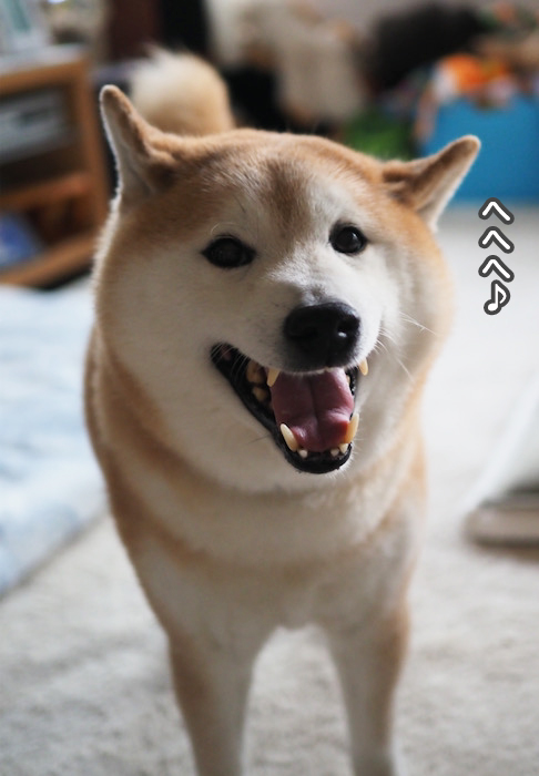 6日夕ブログ７