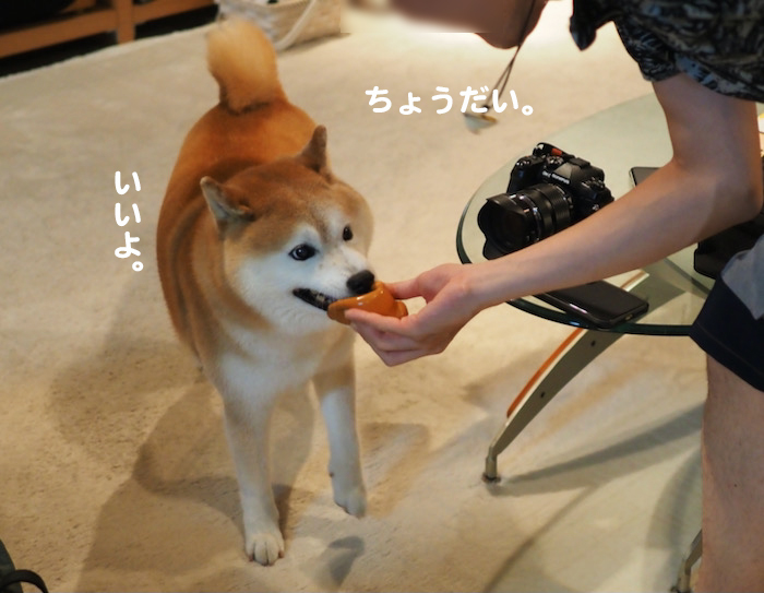 4日夜ブロ７