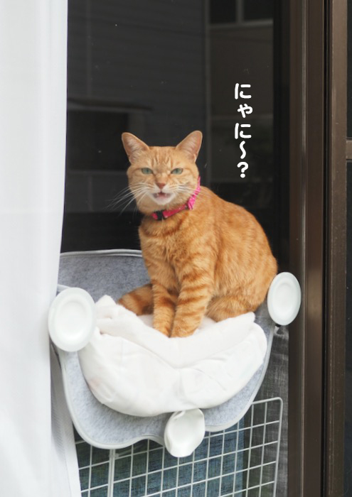 29日夕ブログ６