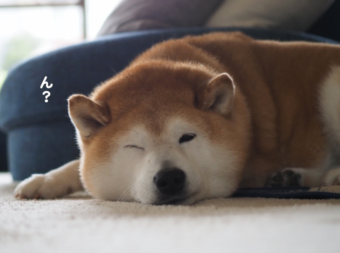 6日午前ブログ１