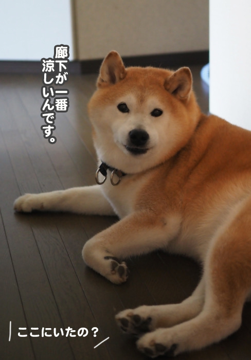 29日ブログ1