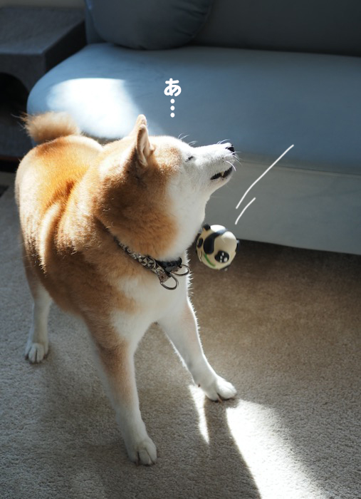 2日夕ブログ９