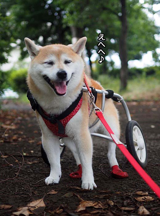14日夜ブログ７