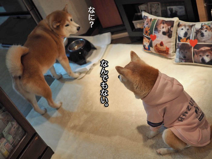 17日夜ブログ３