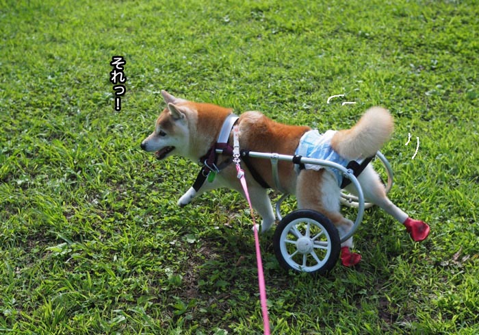 9日ブログ４