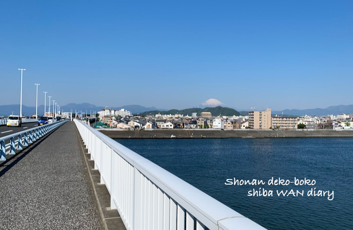 9日夕ブログ１