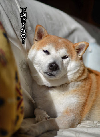 5日ブログ20.jpg