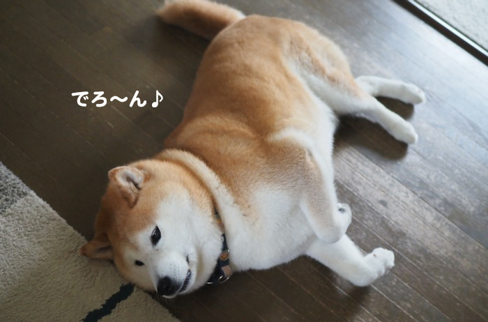 11日夕ブログ２