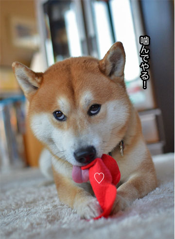 14日ブログ10.jpg
