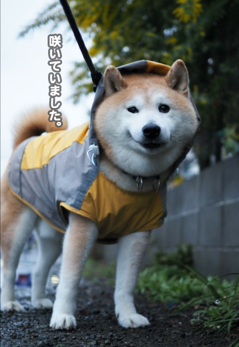 23日夜ブログ３