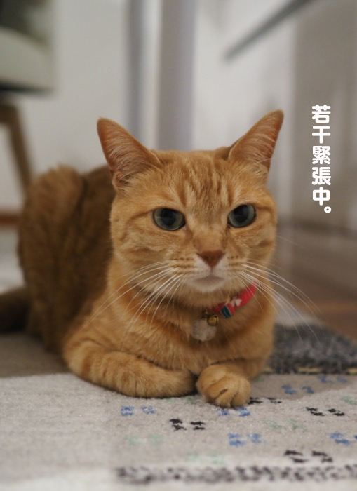 17日ブログ１