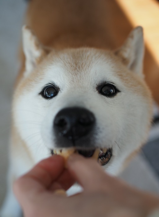 10日ブログ２