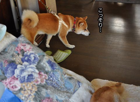 23日ブログ8.jpg