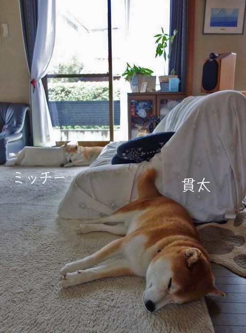 27日ブログ2