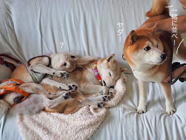 15日ブログ5