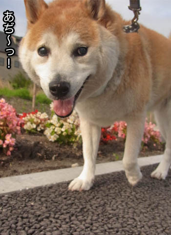 18日ブログ2.jpg