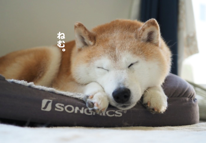 21日ブログ３