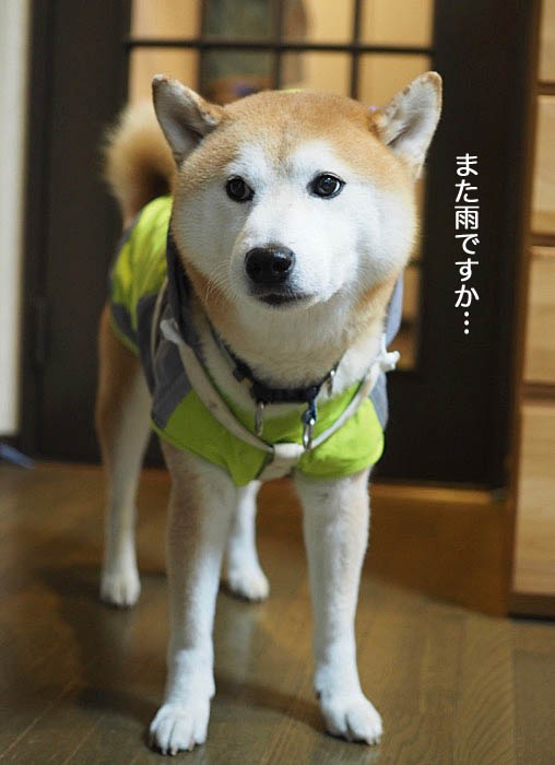 14日夜ブログ１