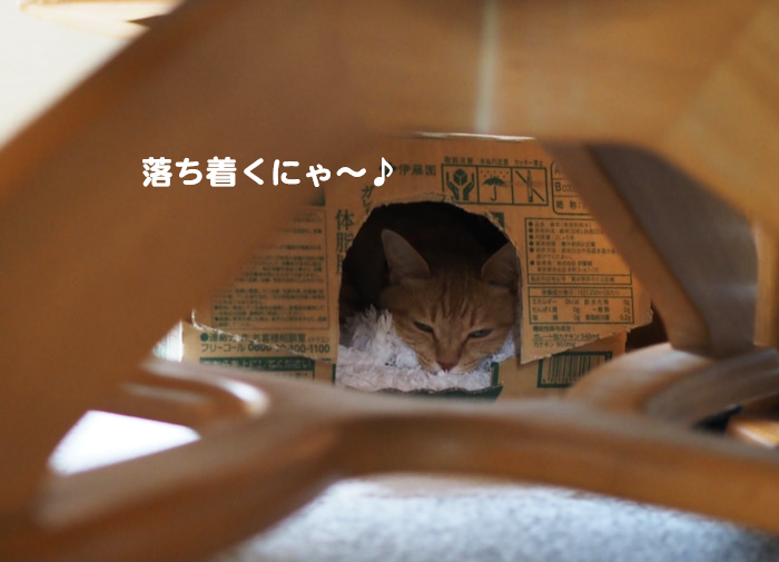 4日夕ブログ５