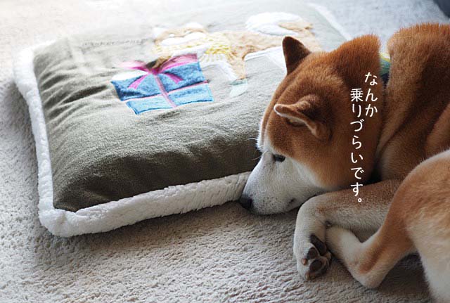 7日ブログ9