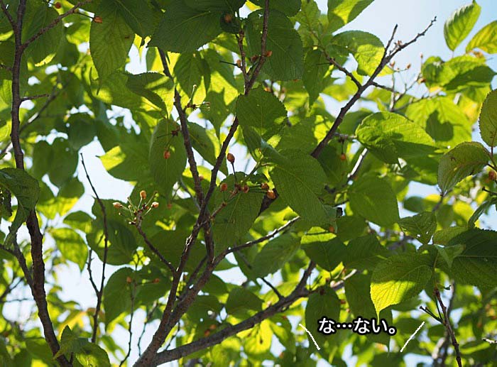 27日ブログ４