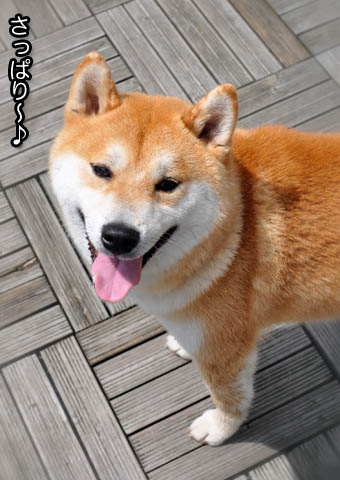 27日ブログ7.jpg