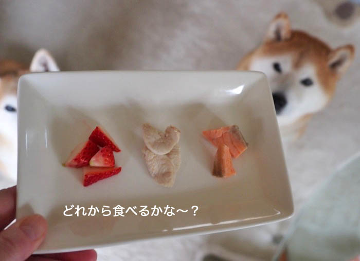 28日ブログ３