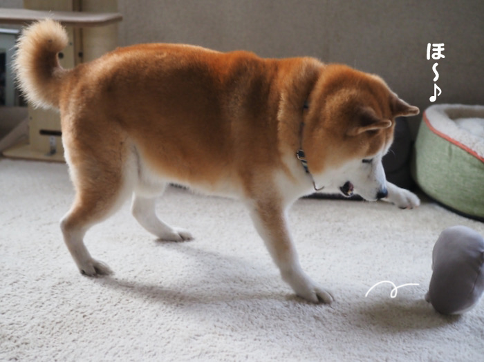 10日ブログ７