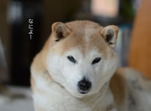 21日ブログ5.jpg