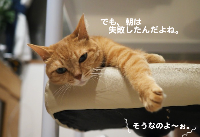1日夕ブログ３