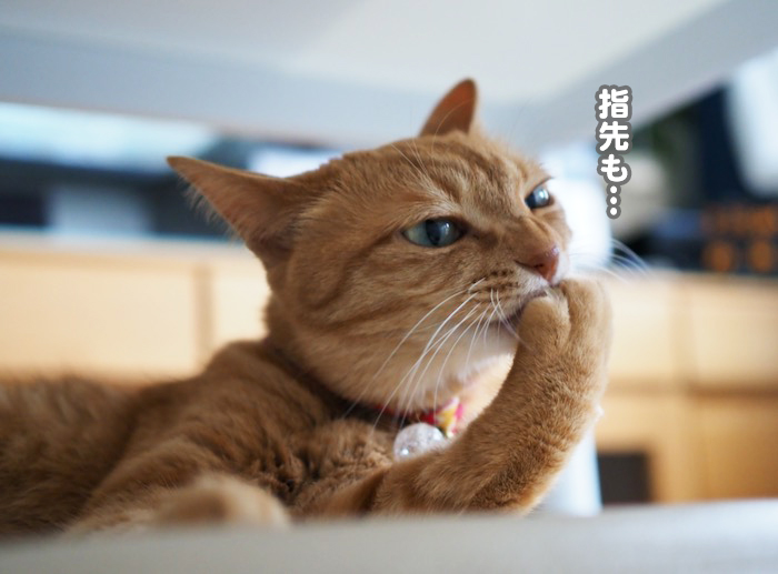 9日夕ブログ８