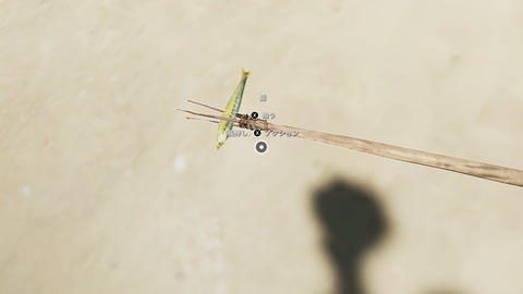 2025100614323300-94A746730D9ED8E217BB22728F23AD39