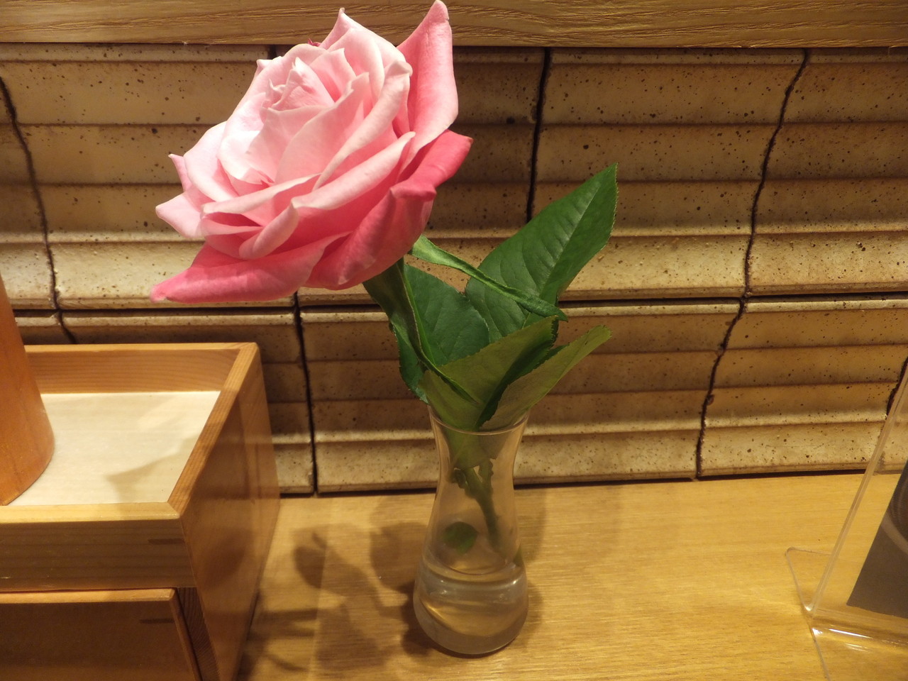 しぶそば武蔵小杉店 イカげそとしし唐の天ぷらそば 柴ポチダイアリー