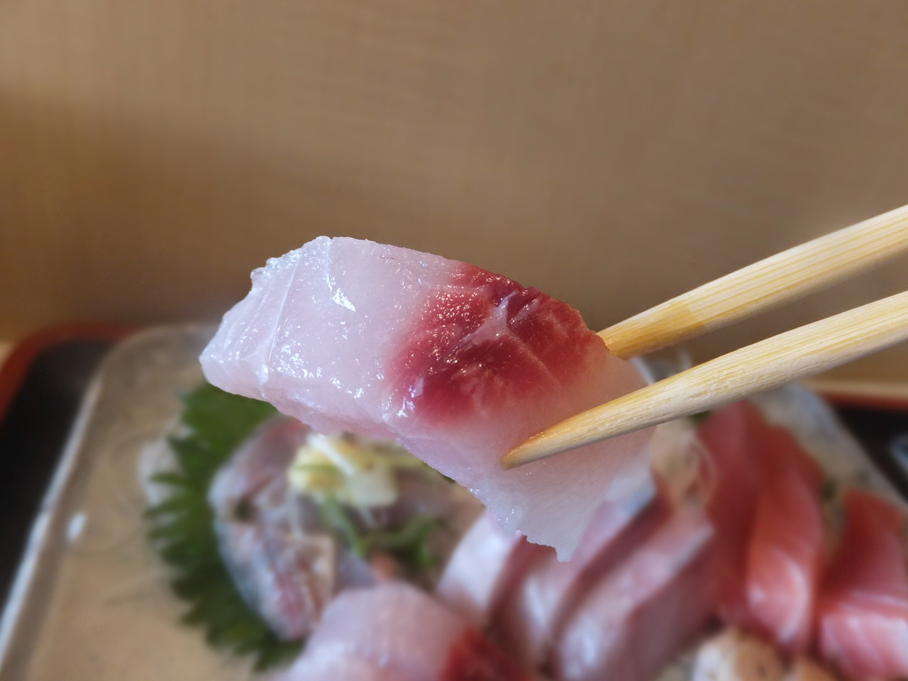 小田原みなと 朝どれ地魚の店 いこい 日替りの刺身定食 柴ポチダイアリー 小田原みなと 朝どれ地魚の店 いこい 日替りの刺身定食 柴ポチダイアリー