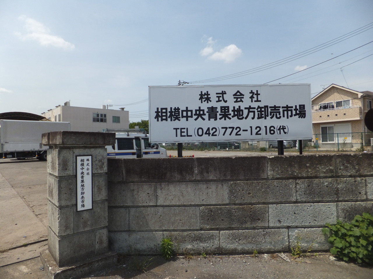 食事処 禅 ｾﾞﾝ 豚しょうが焼定食 柴ポチダイアリー